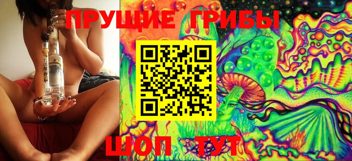 Балашов  Псилоцибиновые грибы ЛСД  Вход с VPN 