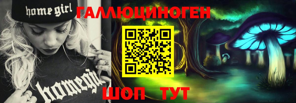 Галлюциногенные грибы Psilocybe Балашов